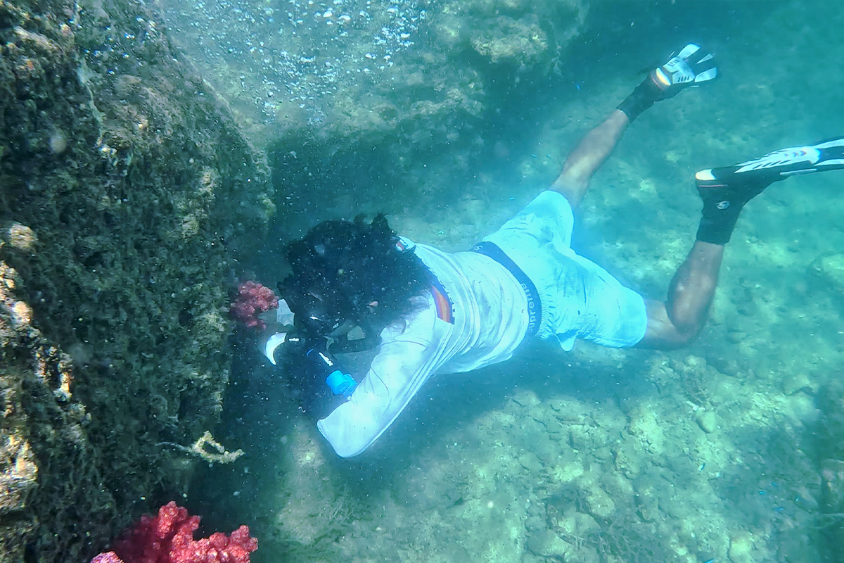 簡単プチダイビング